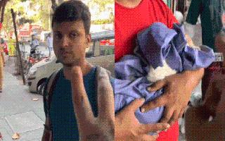 Mumbai: Pet Cat Loses Life Due To Grooming Centre's Ignorance; Another Thane-Like Incident Leaves Internet Outraged